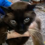 Janet Goldstein - Facebook Profile Picture of Janet Goldstein (@Janet-Goldstein) on Facebook