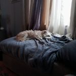 Profile Picture of Mark Makowski (@makowski247) on Instagram