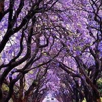 Profile Picture of Carrie Jaeger (@carrie-jaeger-1) on Quora