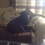 Profile Picture of Tracy Waddingham (@tracy.waddingham) on Instagram