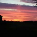 Profile Picture of Alex Shackelford (AJ) (@argus7628) on Instagram