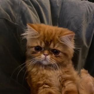 Profile Picture of Edward Dobbyn (@edward.dobbyn) on Instagram