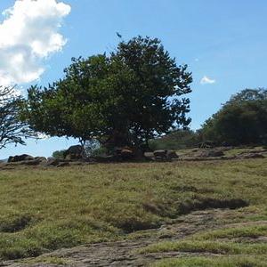 Tomas Padilla - Twitter Profile Picture of Tomas Padilla (@tomaspadilla) on Twitter