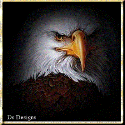 Profile Picture of Sherman Gilbert (@ShermanGilbert1) on Twitter