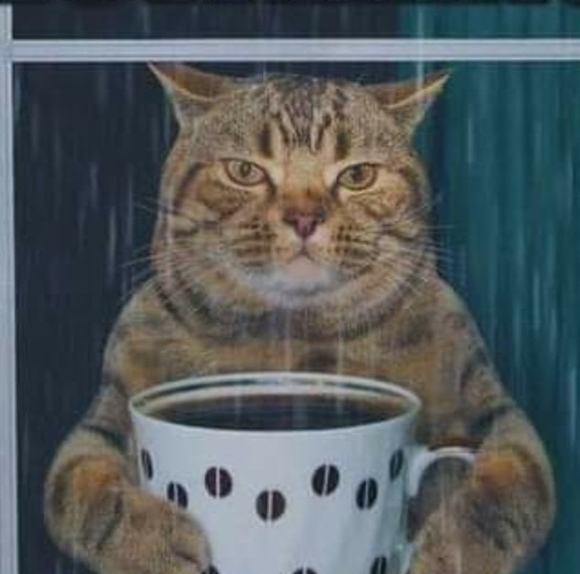 Profile Picture of Greg Gonzales (@ggonzales210) on Poshmark