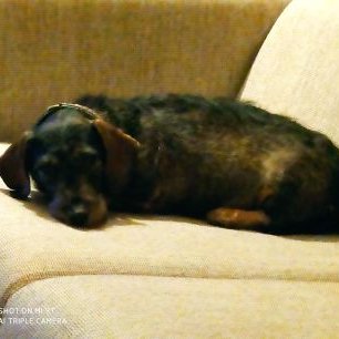 Gerard R Oudewaal - Twitter Profile Picture of Gerard R Oudewaal (@GOudewaal) on Twitter