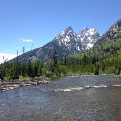 Profile Picture of Byron Roberts (@scbpr2) on Twitter