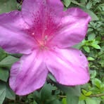 Profile Picture of Roberta Hanks (@roberta.hanks.1) on Facebook