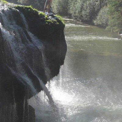 Profile Picture of Matthew Freeland (@WrongCrowdBrew) on Twitter