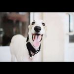 Profile Picture of Mikel Gonzalez (@mikel.gonzalez.35) on Instagram