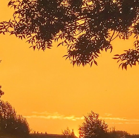 Profile Picture of Kate Omeasoo (@kateylynn6) on Poshmark