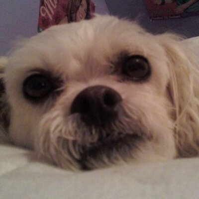 Profile Picture of Casey Tidwell (@caseybabe23) on Twitter