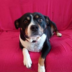 Profile Picture of claudettebosch (@claudettebosch) on Tiktok