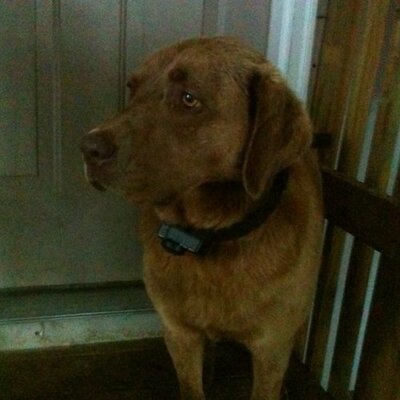 Profile Picture of Chris Beeler (@caney06) on Twitter