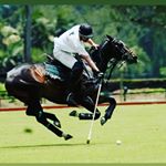 Alejandro Sola - Instagram Profile Picture of Alejandro Sola (@alejo_sola) on Instagram