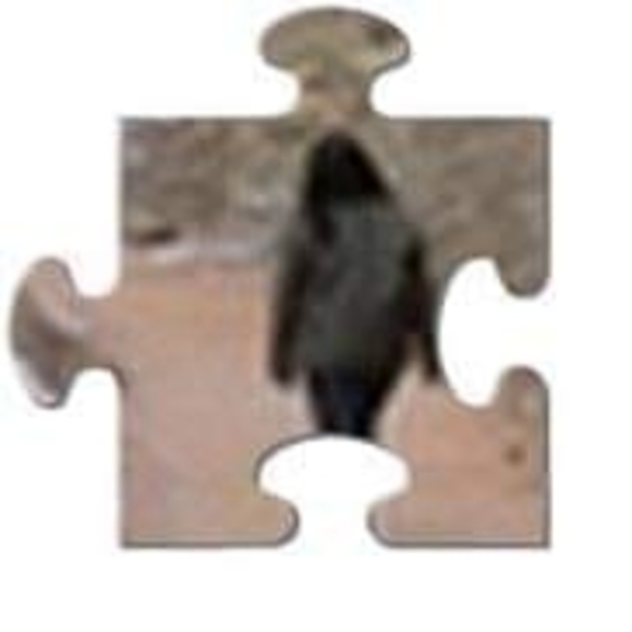 Profile Picture of Dulce Vannote (@dulcekmartinez) on Poshmark