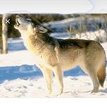 Profile Picture of Kevin Alaimo (@alaimo.kevin) on Instagram