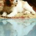 Profile Picture of Brenda Rath (@brenda.rath.3760) on Facebook