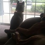 Profile Picture of Chris Riggle (@riggle47122) on Instagram