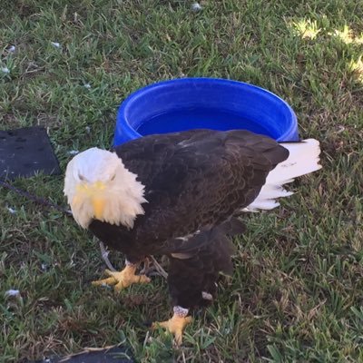Profile Picture of Sean Spangler (@SPANK550) on Twitter