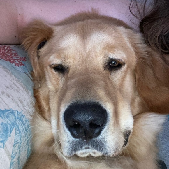 Profile Picture of Jackie Karwandy (@jackie_karwandy) on Poshmark