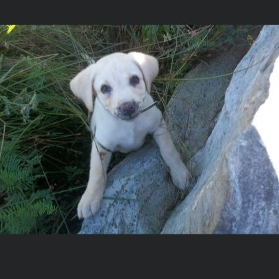 Profile Picture of Elizabeth Haley Risser 1996 (@Risser1996) on Twitter