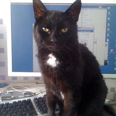 Profile Picture of Jim Deighton (@jamesdeighton) on Twitter