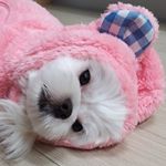 Profile Picture of 김부성 (@iste_bs) on Instagram