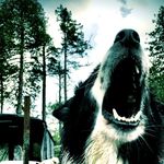 Profile Picture of John Balog (@balog.john) on Instagram