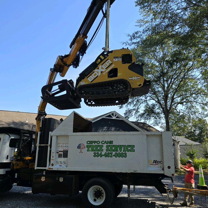 Profile Picture of Jason Spain (@jason.spain8) on Tiktok