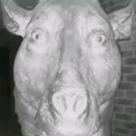 Profile Picture of kevinthuram (@kevinthuram27) on Tiktok