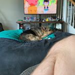 Profile Picture of Sean Dalton Heuring (@seanheuring) on Instagram