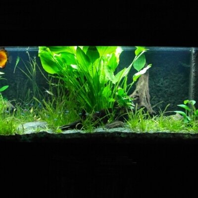 Profile Picture of Rachel Sands (@rachelsands39) on Twitter