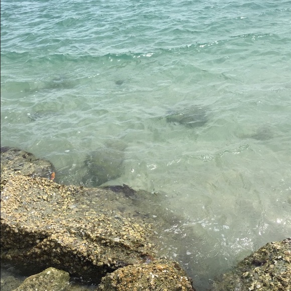 Profile Picture of Juliane Schouest (@julianeschouest) on Poshmark