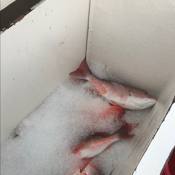 Profile Picture of Mark Randelson (@markrandelson) on Poshmark