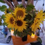 Profile Picture of Jerry Dennis (@jerry.dennis.7545) on Instagram