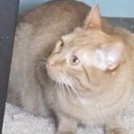 Profile Picture of Hamuda muhawesh (@muhaweshhamuda) on Instagram
