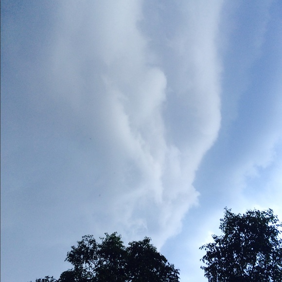 Pat Corsaletti - Poshmark Profile Picture of Pat Corsaletti (@pcoors) on Poshmark