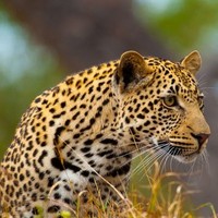 Profile Picture of Christopher Stanley (@christopher-stanley-6) on Quora