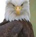 Profile Picture of Hershel Baker (@hershel.baker.56) on Facebook
