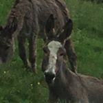 Profile Picture of Michael waismayer (@michi_waismayer) on Instagram