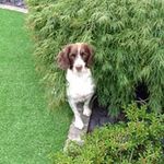 Profile Picture of mandy mccarthy (@kaydeebooboo) on Instagram