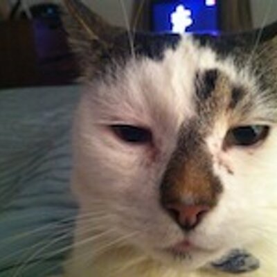 Profile Picture of Tom (@TomHerath) on Twitter