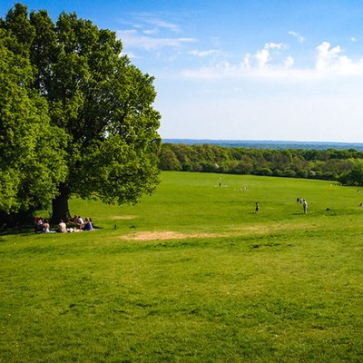 Profile Picture of Plumstead Particular (@PlumsteadSE18) on Twitter