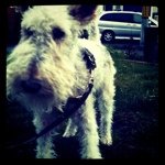 Profile Picture of rayjoelgoodall (@rayjoelgoodall) on Instagram