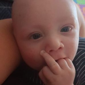 Profile Picture of Michael Liddicoat (@MichaelLiddico2) on Twitter