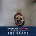 Profile Picture of Thomas Morgan (@thomas.morgan.79219) on Facebook
