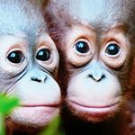 Profile Picture of Michael Moyes (@michael.moyes.52) on Instagram