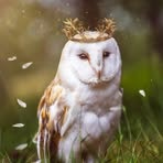 Profile Picture of Heather Kleber (@heather.kleber.1) on Facebook