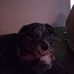 Profile Picture of Steven Joyner (@steven.joyner.7140) on Facebook